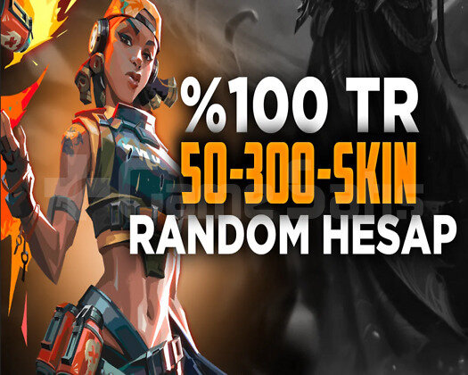 KAMPANYA/TR SUNUCU 50-200 SKİNLİ DOPDOLU RANDOM -