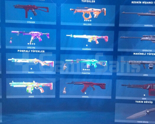 Gold 2 Mail değişir İsim değişir Savaş bileti skin