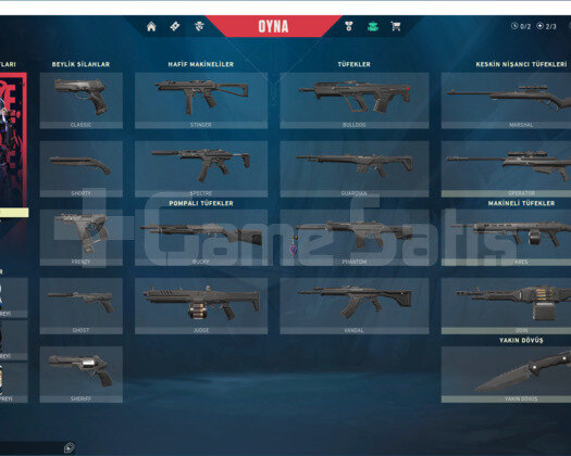 Gümüş 1 23 kp skin yoktur mail değişir isim değişr