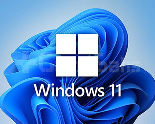 WİNDOWS 11 PRO KEY/GARANTİLİ +500 İŞLEM