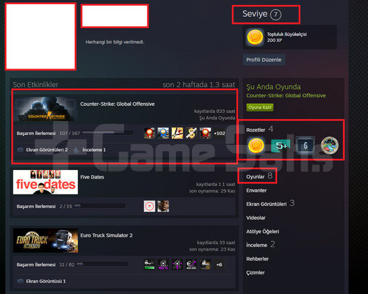 4 MADALYA 6 LEVEL FACEİT YEŞİL FAKTÖR TÜRK HESABI