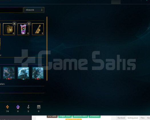 PLAT 4 60 WR HESAP
