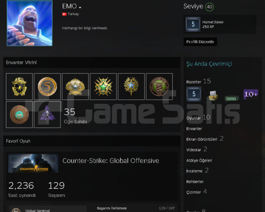 9 Madalya+Faceit 9 lvl+Yeşil Faktör+40 lvl Steam