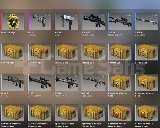 2 MADALYALI CSGO HESABI