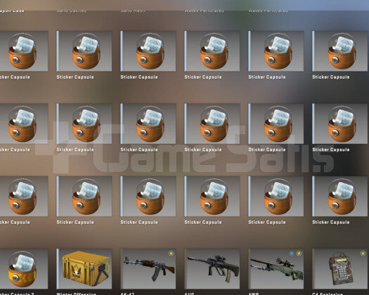 2 MADALYALI CSGO HESABI