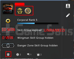 2 MADALYALI CSGO HESABI