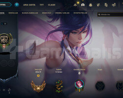 80 wr gold4
