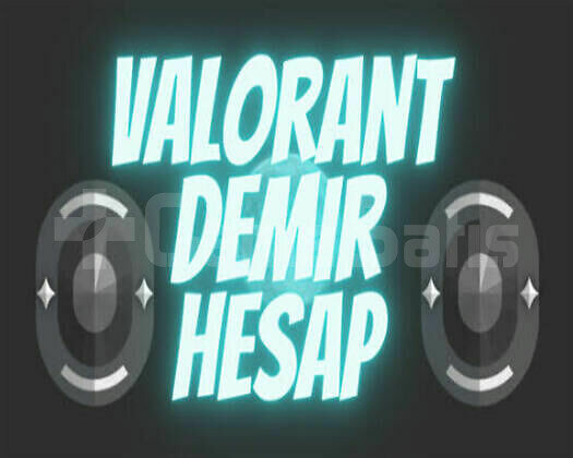 TR SUNUCU 100 DEMİR HESAPLAR HEMEN TESLİM