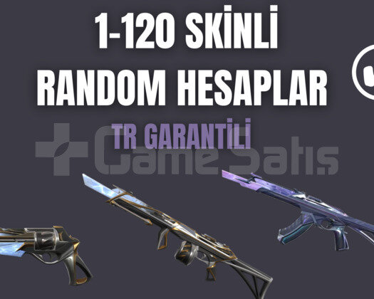 1-120 SKİN GARANTİLİ HESAPLAR