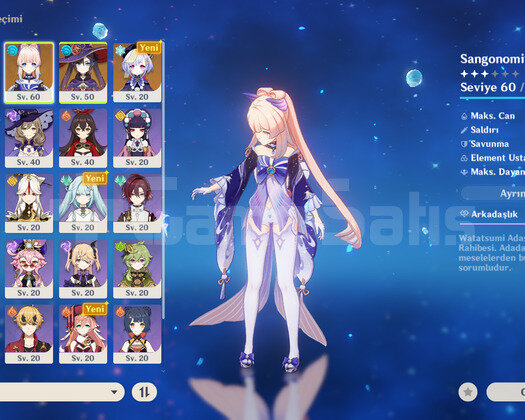 Rank 40 Kazuha Kokomi Rate up