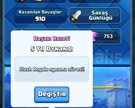 5 yıllık rozetli mailli