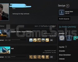 CSGO PRİME HESAP / 5 YIL ROZETİ / BOL OYUN