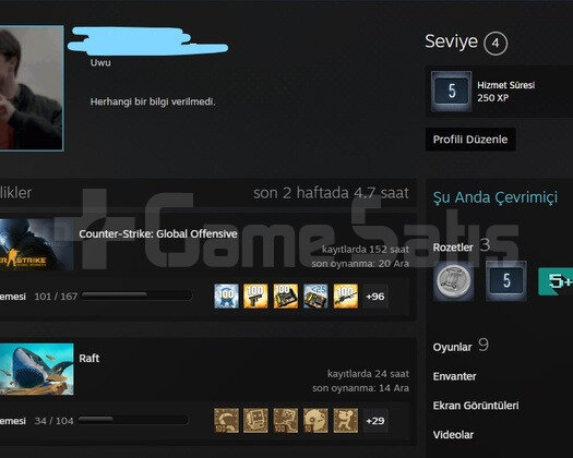 CSGO PRİME HESAP / 5 YIL ROZETİ / BOL OYUN