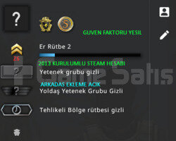2 MADALYA | 2013 KURULUMLU STEAM | CSGO PRIME