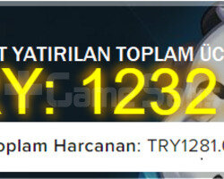 TR 54 SKİNLİ VALORANT HESABI