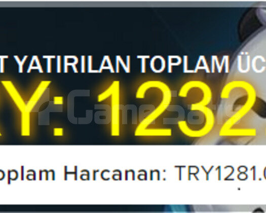 TR 54 SKİNLİ VALORANT HESABI