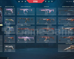 SİHİRPUNK ŞOK ELDİVENLİ VANDALLI DOLU