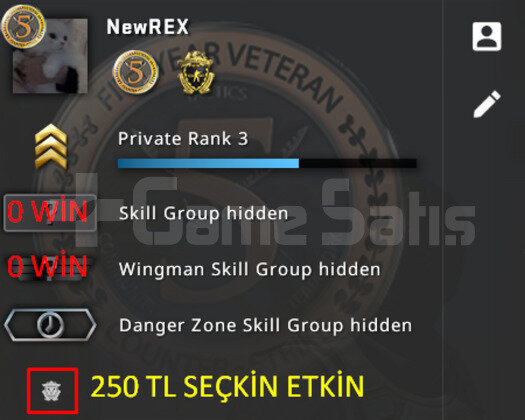 2 MADALYALI CSGO HESABI