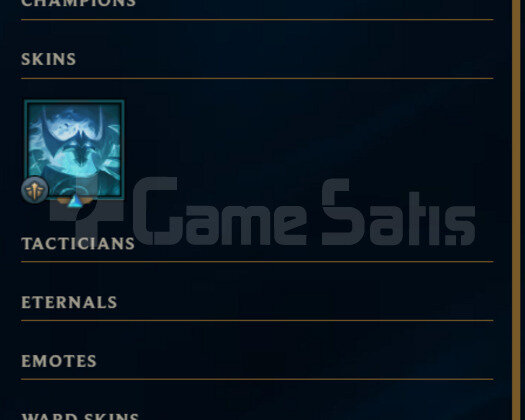 EUW PLAT 4 13 KOSTUMLU MAİNLİK HESAP