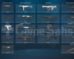 SKİNLİ BETA HESAP