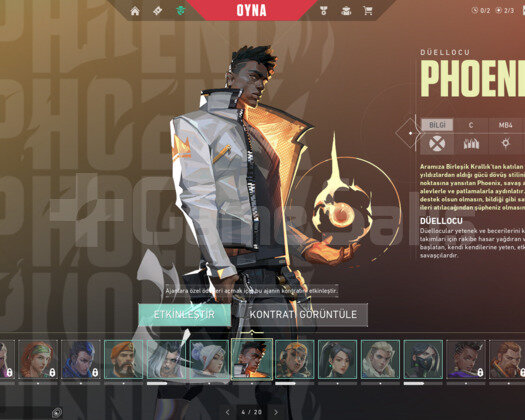 Platin 2 hesap skinsiz