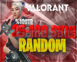 +1200SATIŞTR SUNUCU 25-200 SKİNLİ DOPDOLU HESAPLAR
