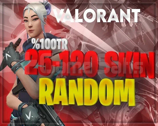 +1200SATIŞTR SUNUCU 25-200 SKİNLİ DOPDOLU HESAPLAR