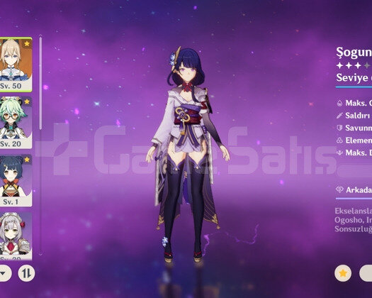 AR 39 Yelan + Raiden + Avare + Mona + Jean Skin