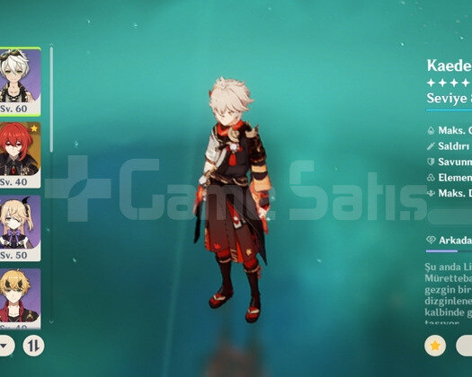 Raiden + Kazuha + YaeMiko + Rateup + 2 5 silah