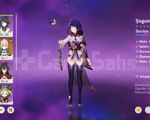 Raiden + İmza silahi + jean + mona + Rate up Mr12