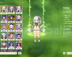 ar55 12x5 cyno nahida scara ve silah