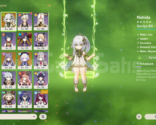 ar55 12x5 cyno nahida scara ve silah