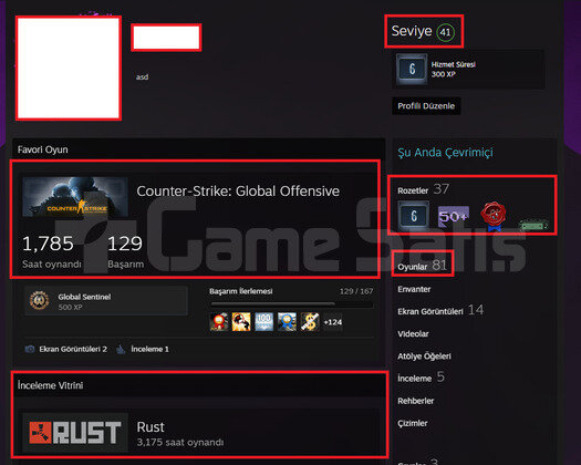 6 MADALYA 41 LEVEL STEAM MAİNLİK TÜRK HESABI!