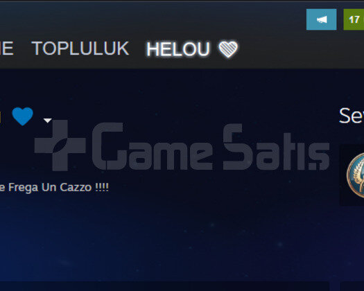 1K Saat 50 Level Steam Lem CSGO Hesabı