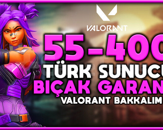 100TR 55-400 Skin Ejder-Champions-Yağmacı