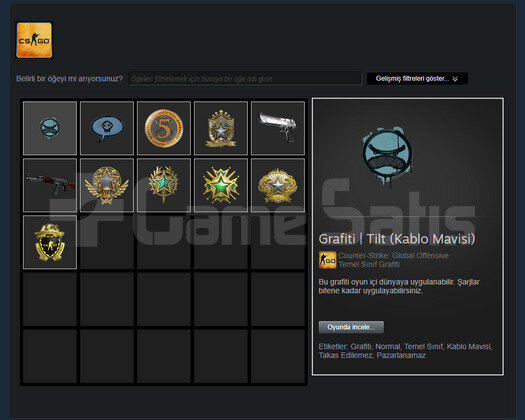 6 MADALYALI CS STEAM HESAP