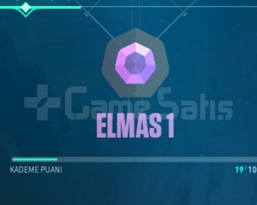 DİA 1 EJDER VANDALLI HESAP