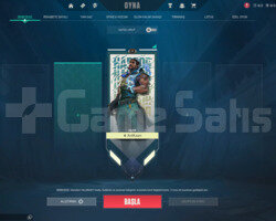 17 Seviye Unranked Hesap