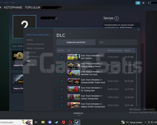 ŞOK FİYAT ETS2+130 TL DLC İLK MAİLLİ HESAP