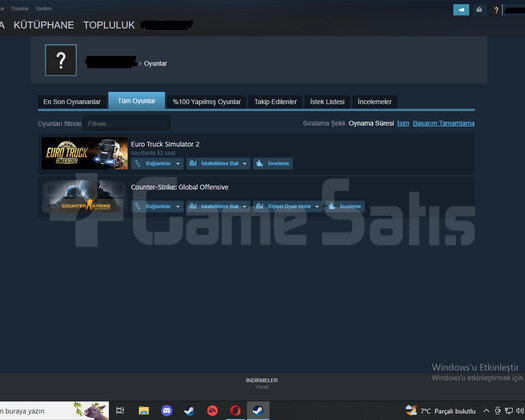 ŞOK FİYAT ETS2+130 TL DLC İLK MAİLLİ HESAP