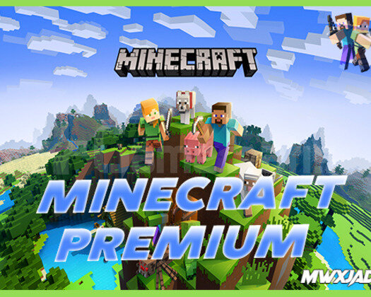 Minecraft Premium Tüm Bilgileri Değişir