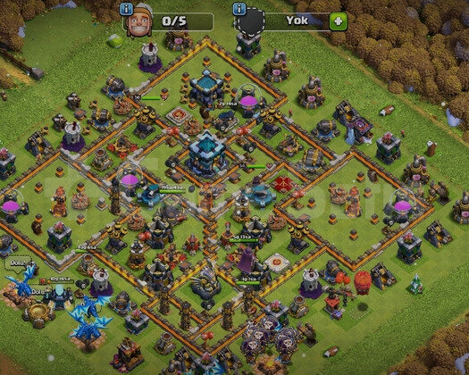COC  ORTA DÜZEY TH13