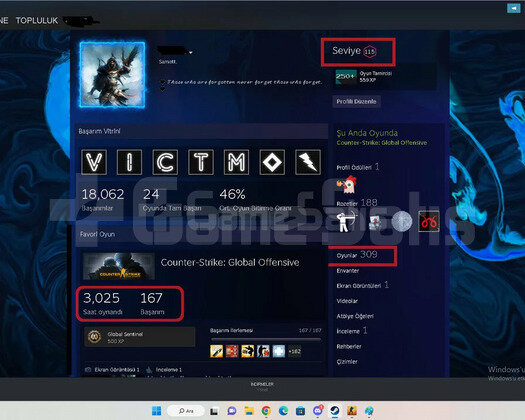 14 MADALYA ILK MAIL 310 OYUN 115 LEVEL STEAM