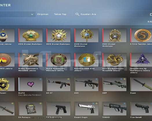 14 MADALYA ILK MAIL 310 OYUN 115 LEVEL STEAM