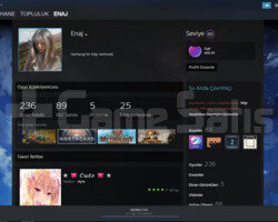 Steam 236 Oyunlu 61 Level hesap