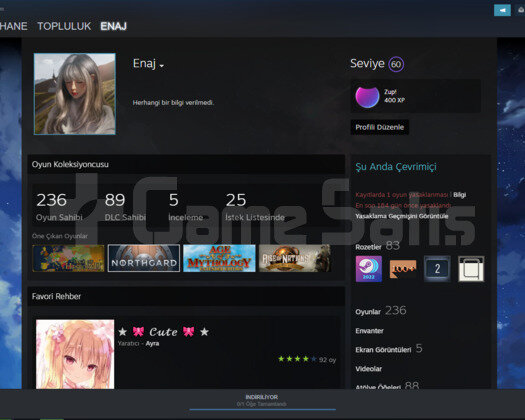 Steam 236 Oyunlu 61 Level hesap