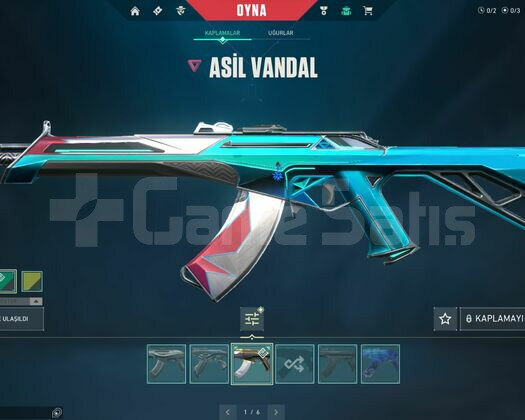 VALORANT BOL SKİNLİ KELEPİR HESAP