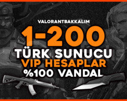 100TR 1-200 Skin Vandal Skini Garantili HESAPLAR