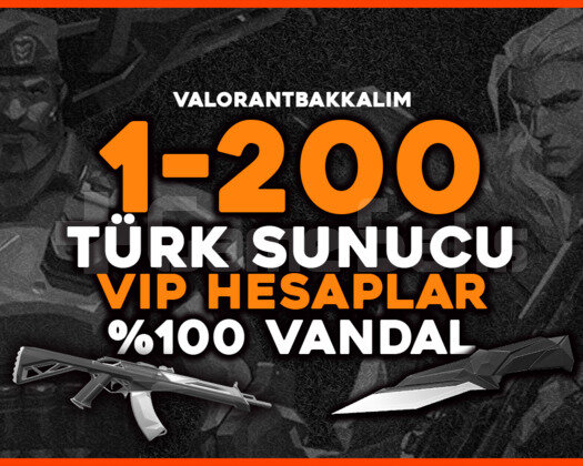 100TR 1-200 Skin Vandal Skini Garantili HESAPLAR