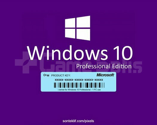 Windows 10 Pro Lisans Anahtarı